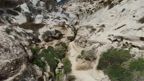 Beach cliffs in San Diego Stock Footage 157792941