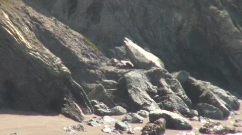 Beach Cliffs Zoom Out Stock Footage 712072