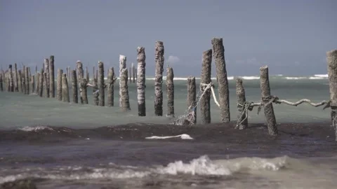 Beach Clip Brazil  Stock Footage 168234633