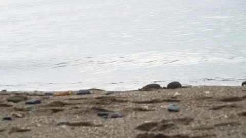 Beach close up Stock Footage 89651099