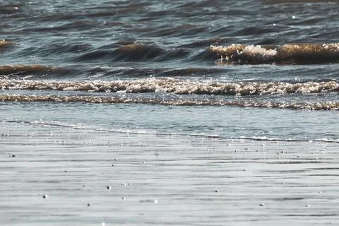 Beach close-up Photos