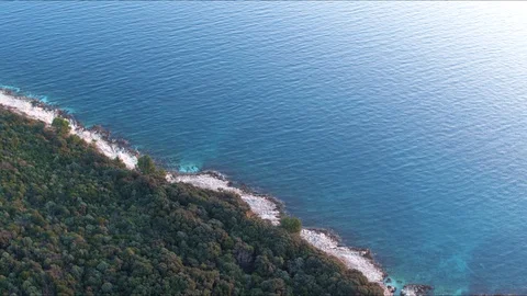 Beach close up in sunrise Stock Footage 100129153
