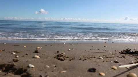 Beach close-up: waves on the shore, sand with shells and seaweed Stock Footage 316532394