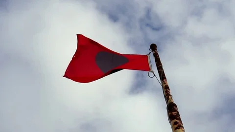 Beach closed flag Stock Footage 129963906