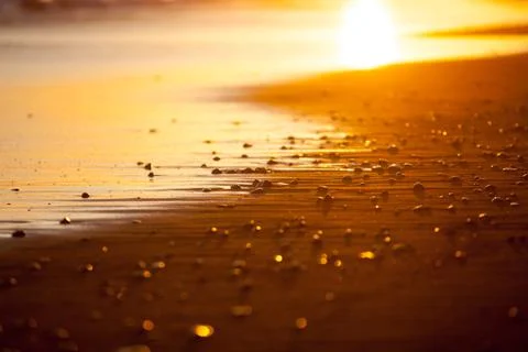 Beach closeup in the rays of the setting sun Stock Photos