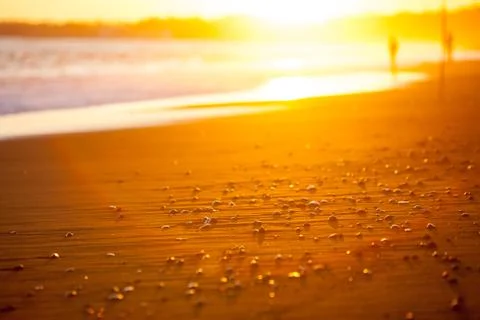 Beach closeup in the rays of the setting sun Stock Photos