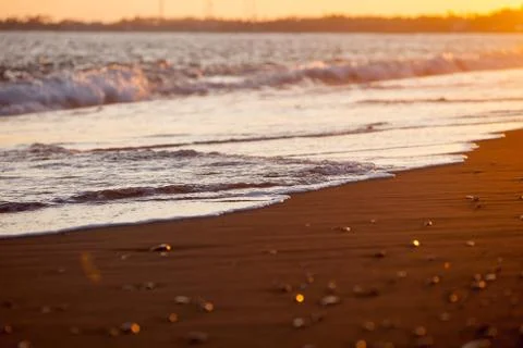 Beach closeup in the rays of the setting sun Stock Photos