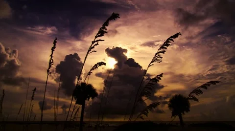 Beach Clouds 2 Tone Variant Stock Footage 53117433
