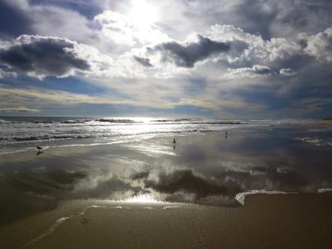 Beach with Clouds and Birds  Stock Photos