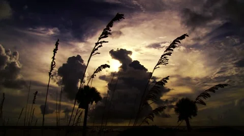 Beach Clouds Gold VARIANT Stock Footage 53117435
