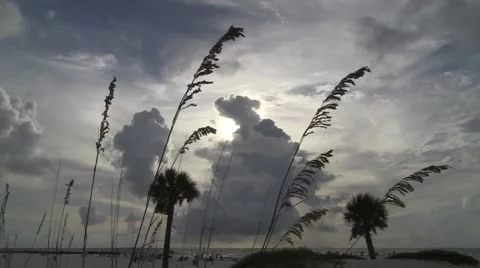 Beach clouds NEUTRAL Stock Footage 53117428