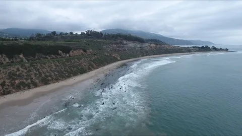Beach on cloudy day, Stock Footage 98474087