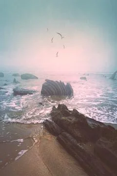 The beach in the coast Stock Photos