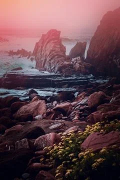 The beach in the coast Stock Photos