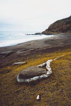 The beach in the coast Stock Photos