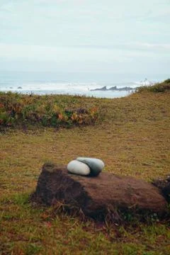 The beach in the coast Stock Photos