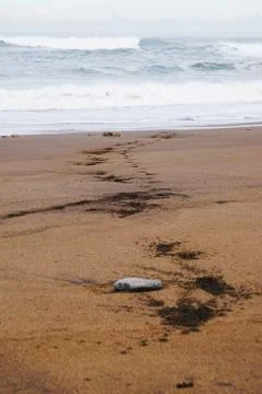 The beach in the coast Stock Photos