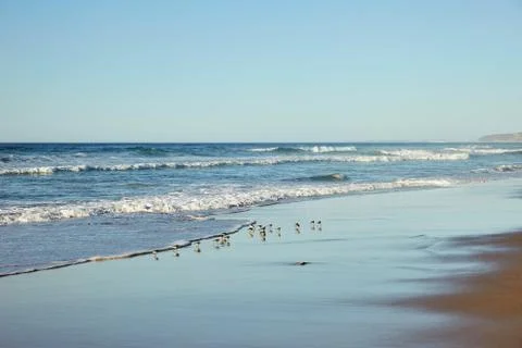 Beach coastline with waves 写真素材