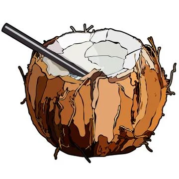 Beach cocktail in coconut Stock Illustration