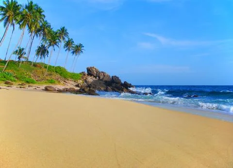 Beach with coconut palm trees Stock Photos