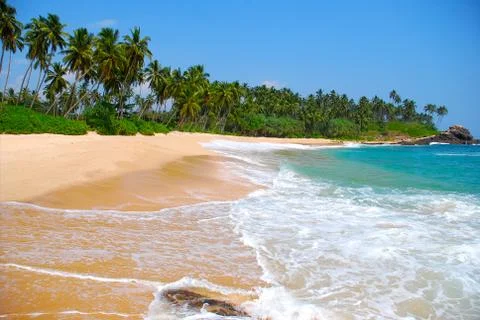 Beach with coconut palm trees Stock Photos
