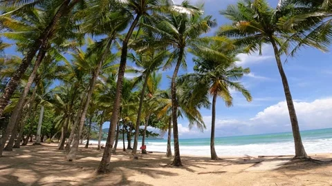 Beach with coconut palms Stock Footage 156870103