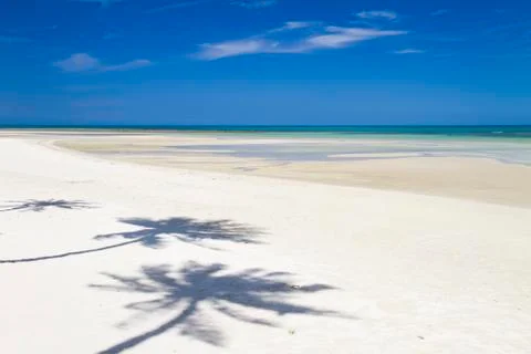 Beach with coconut Stock Photos