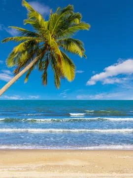 Beach with coconut tree Foto stock