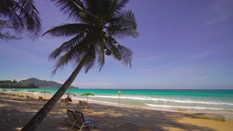 Beach with coconut  trees and sky	 Video stock 204958778