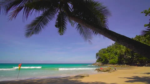 Beach with coconut  trees and sky	 Video stock 204958794