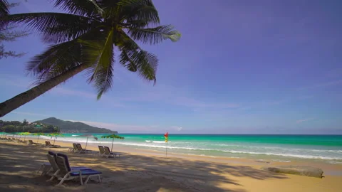 Beach with coconut  trees and sky	 Video stock 204958829