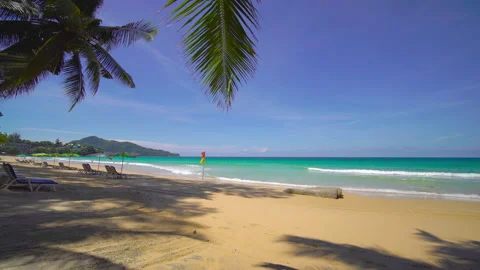 Beach with coconut  trees and sky	 Video stock 204958855