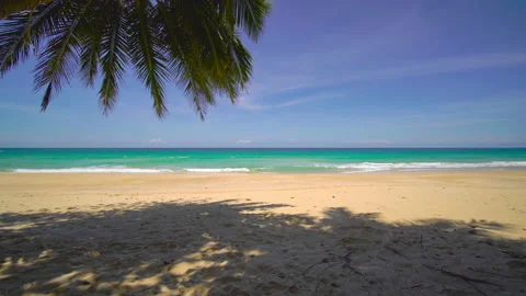 Beach with coconut  trees and sky	 Video stock 204958947