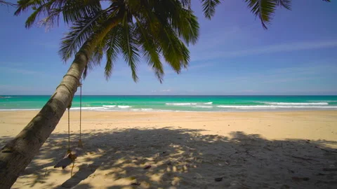 Beach with coconut  trees and sky	 Stock Footage 204958986