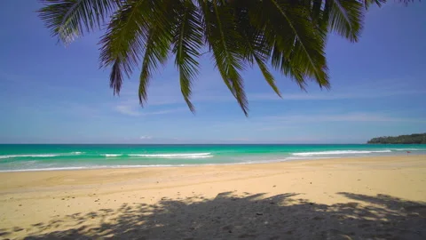Beach with coconut  trees and sky	 Video stock 204959012