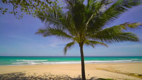 Beach with coconut  trees and sky	 Video stock 204959048