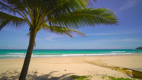 Beach with coconut  trees and sky	 Video stock 204959080