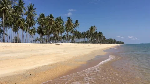 Beach, coconut trees, sand, waves, and open sea, loop, h264 codec. Stock Footage 81342008