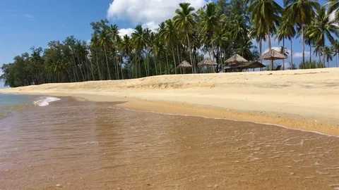 Beach, coconut trees, sand, waves, and open sea, loop, mjpeg codec. Stock Footage 81612450