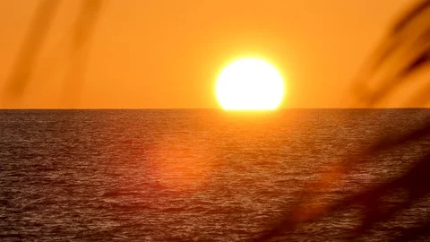 Beach coconut trees in the sunset time. 库存影片 95663374