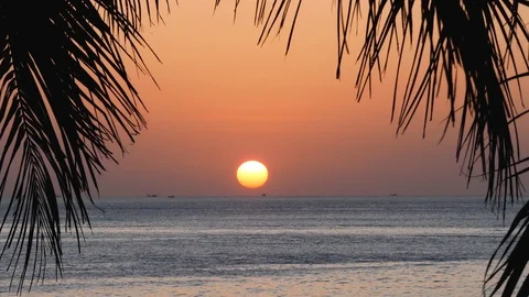 Beach coconut trees in the sunset time Stock-Footage 100863918