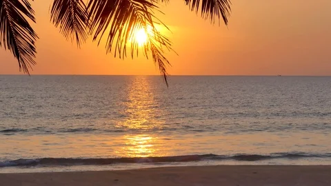 Beach coconut trees in the sunset time. 库存影片 130003953