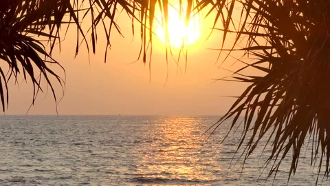 Beach coconut trees in the sunset time. Vídeo Stock 136402055