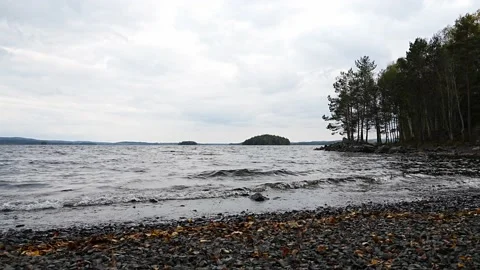 Beach of a cold Swedish lake. Stock Footage 219173083
