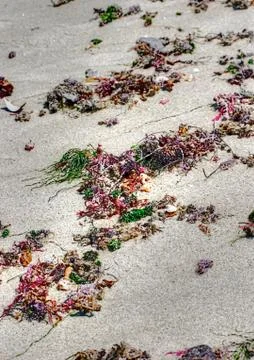 Beach Color Stock Photos