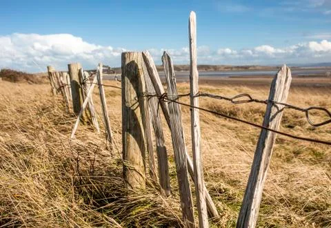 Beach Combe Stock Photos