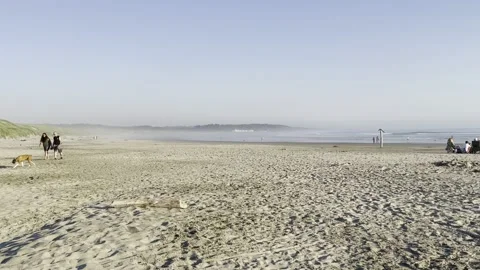 Beach combers Stock Footage 156663633