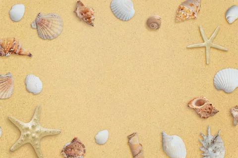 Beach composition with sea shells with copy space in the middle for promotion Stock Photos