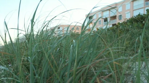 Beach Condos at Dusk Stock Footage 610793