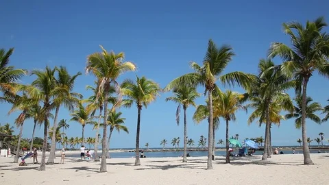Beach in Coral Gables, Florida Stock Footage 73915313